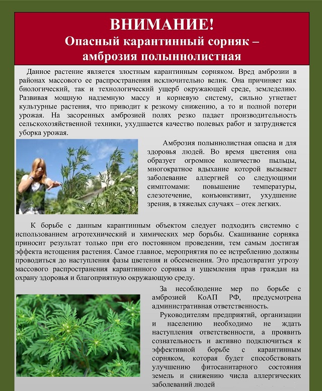 foto 09 09 2022 15 11